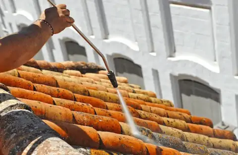 Nettoyage de toitures - Villieu-Loyes-Mollon